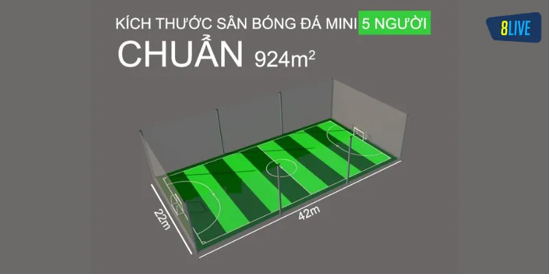 Kích thước sân bóng đá 5 người