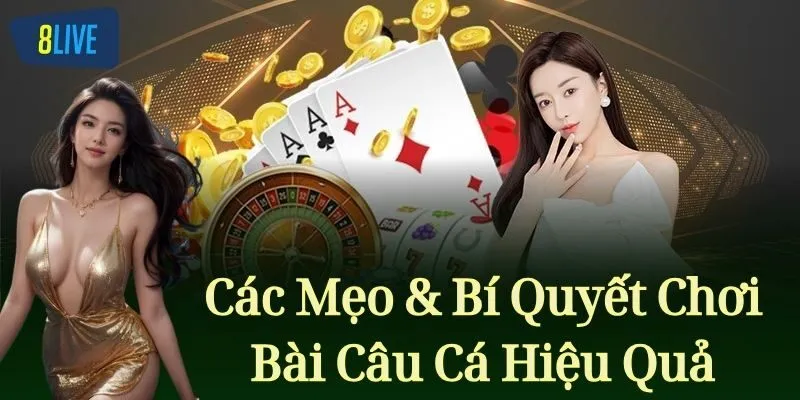 Các Mẹo & Bí Quyết Chơi Bài Câu Cá Hiệu Quả