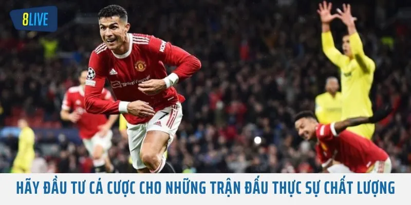 Hãy đầu tư cá cược cho những trận đấu thực sự chất lượng