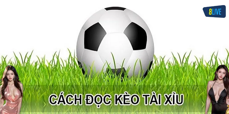 Mẹo Soi Kèo Tài Xỉu Siêu Đỉnh