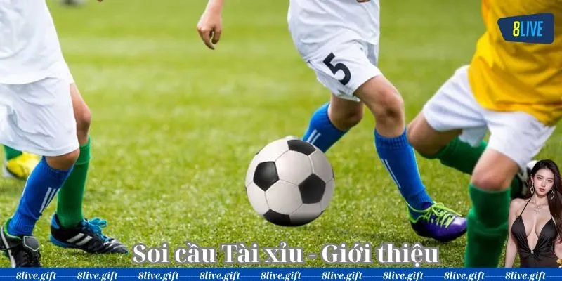 Soi Cầu Tài Xỉu Là Gì?