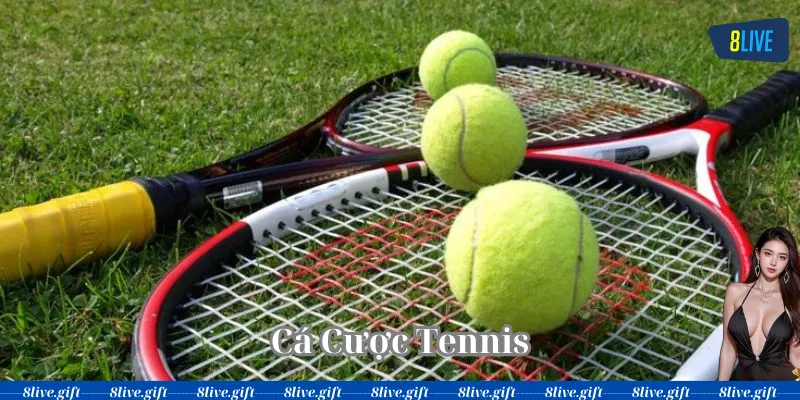 Cá Cược Tennis có gì thú vị 