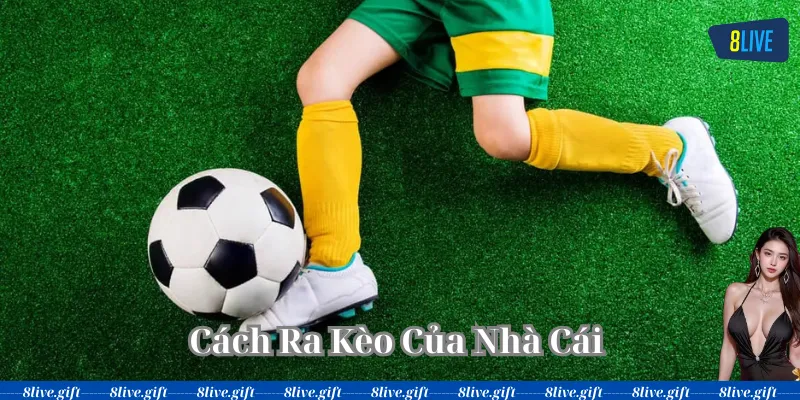 Cách Ra Kèo Của Nhà Cái có gì quan trọng