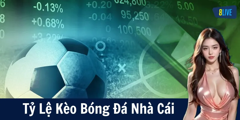 Chiến thuật đặt kèo bóng đá La Liga giúp tối ưu lợi nhuận