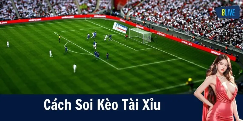 Kèo Tài Xỉu Là Gì? Hiểu Đúng Để Không Chơi Sai